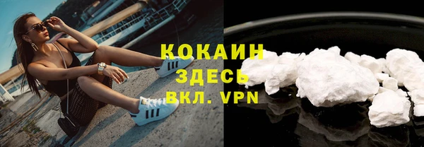 PSILOCYBIN Волосово