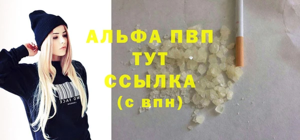 PSILOCYBIN Волосово