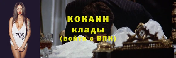 крисы Тавда
