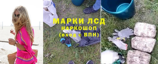 PSILOCYBIN Волосово